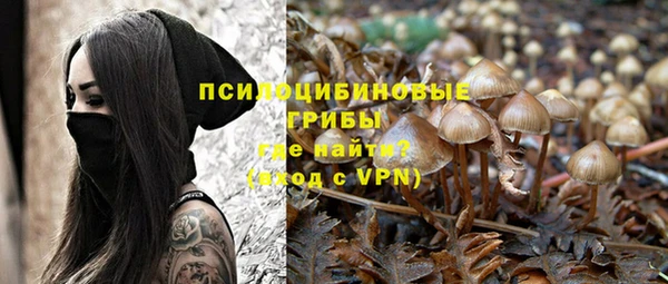 таблы Медвежьегорск