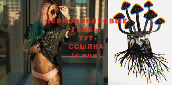 a pvp Медногорск